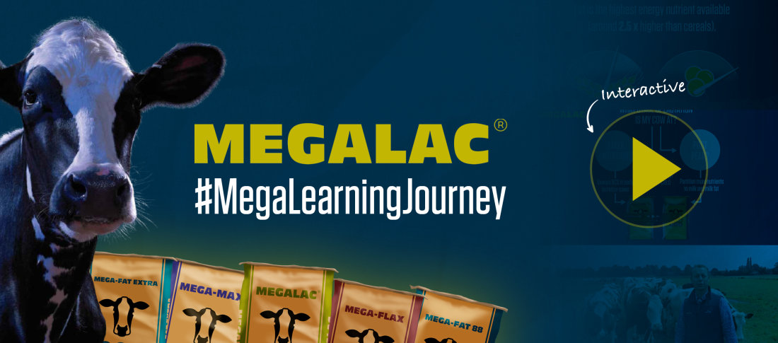 02026 megalac   eko social graphics2 banner
