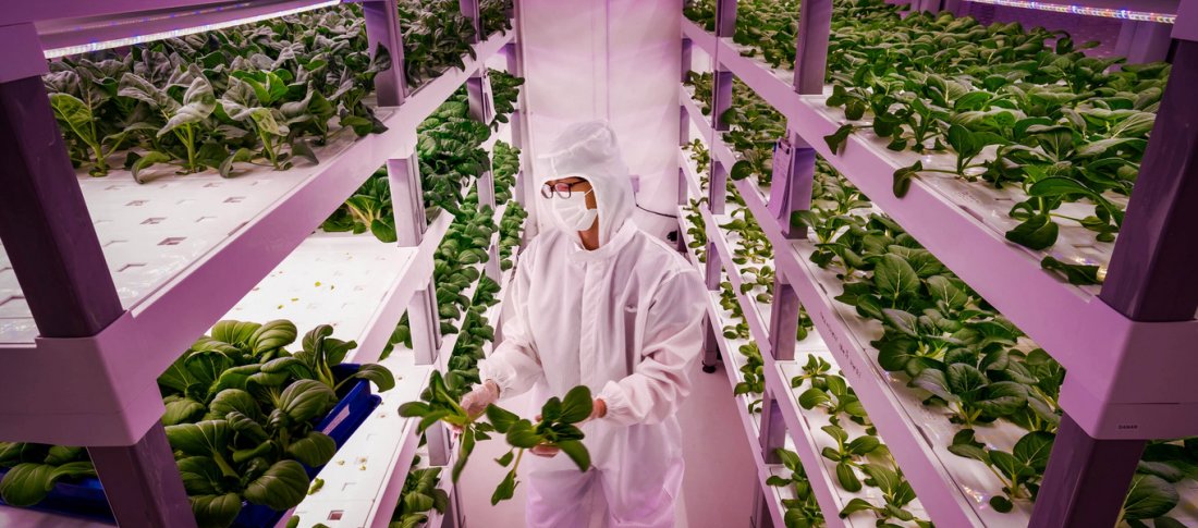 Vertical farming banner