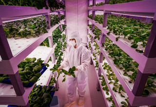 Vertical farming listing