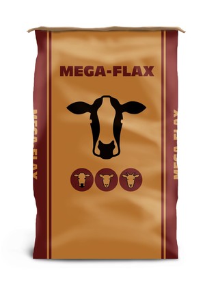 megaflax blog image