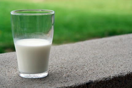 milk blog 2