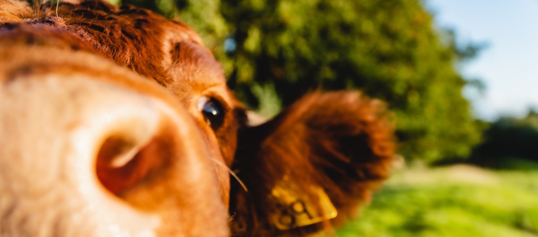 Luke thornton oqpkls5jhoy unsplash banner