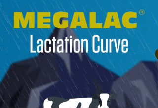 Lac curve banner alt listing
