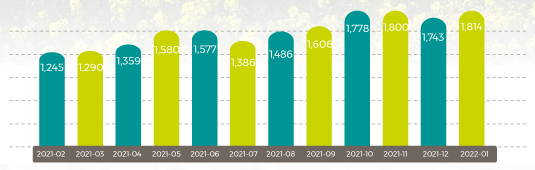 Rapeseed Oil Graph Feb