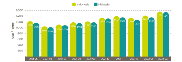 March Palm Graph