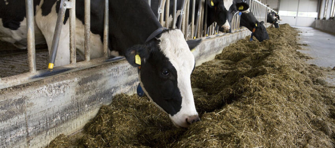 Mitigating methane