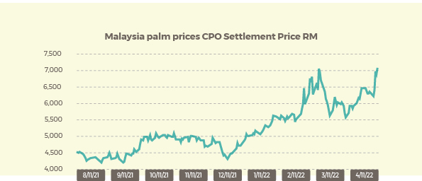 Malaysia palm prices May