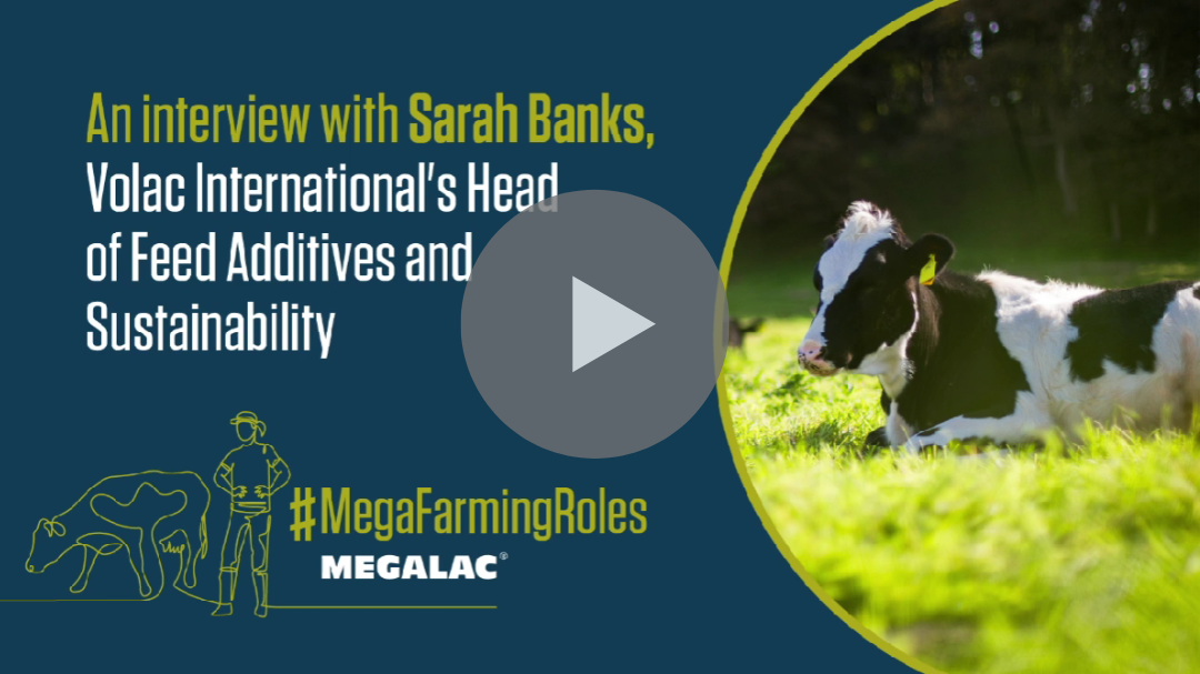 #MegaFarmingRoles_sarahbanks vid titlecard v2