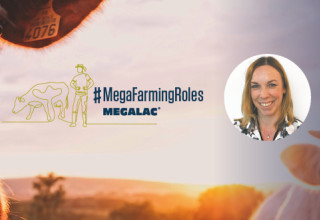 02490 megalac megafarmingroles db penart banners5 listing