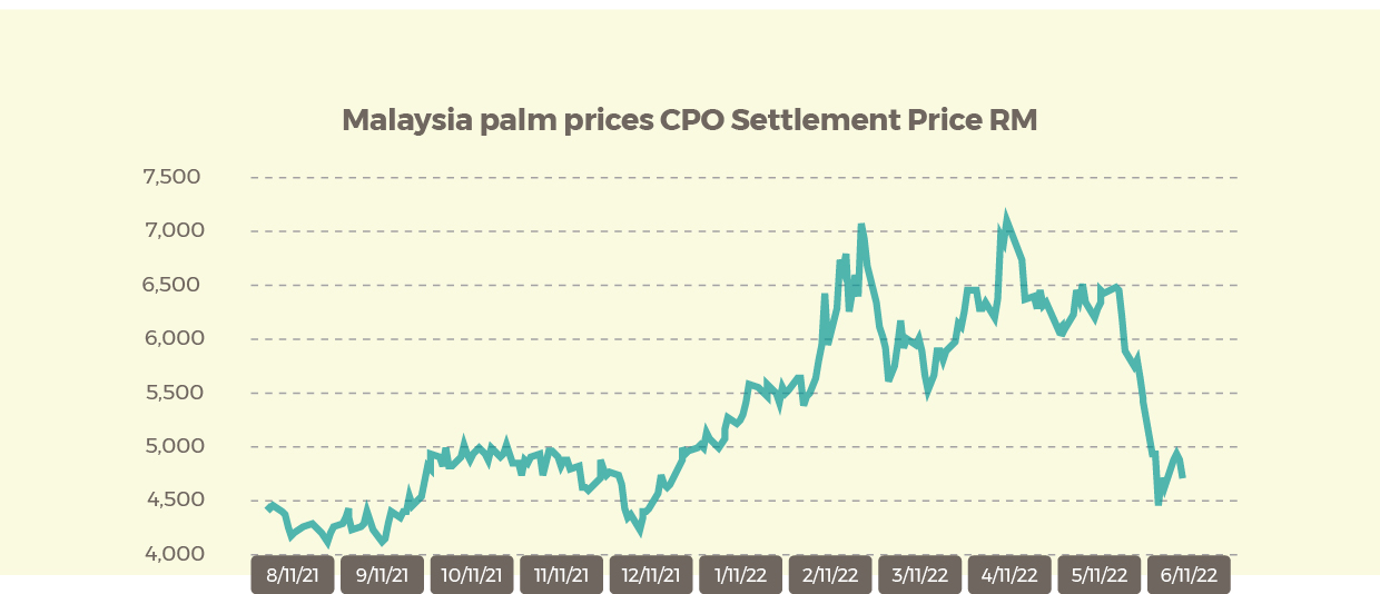 Malaysia palm 0722