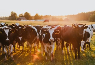 Daiga ellaby j 460zyufi8 unsplash listing