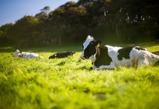 Andy kelly 5apblfc2hus unsplash listing