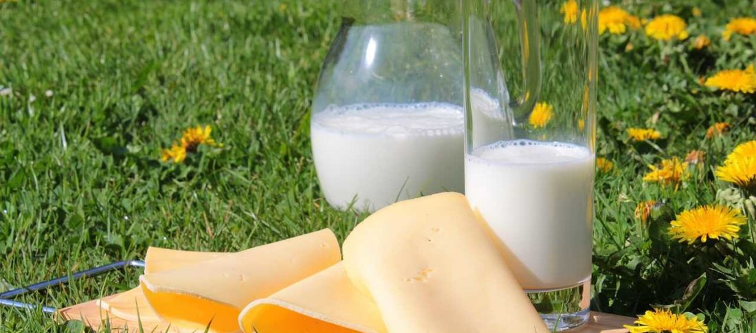 Milkcompressed banner