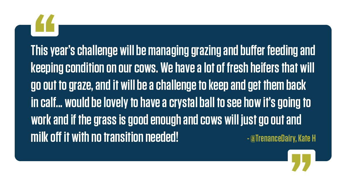 UK dairy farmer quote