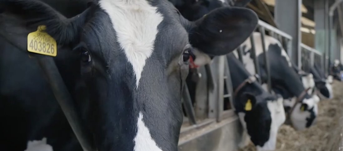 Screenshot 2025 12 03 at 14.05.07 banner