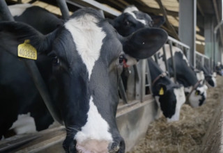 Screenshot 2025 12 03 at 14.05.07 listing