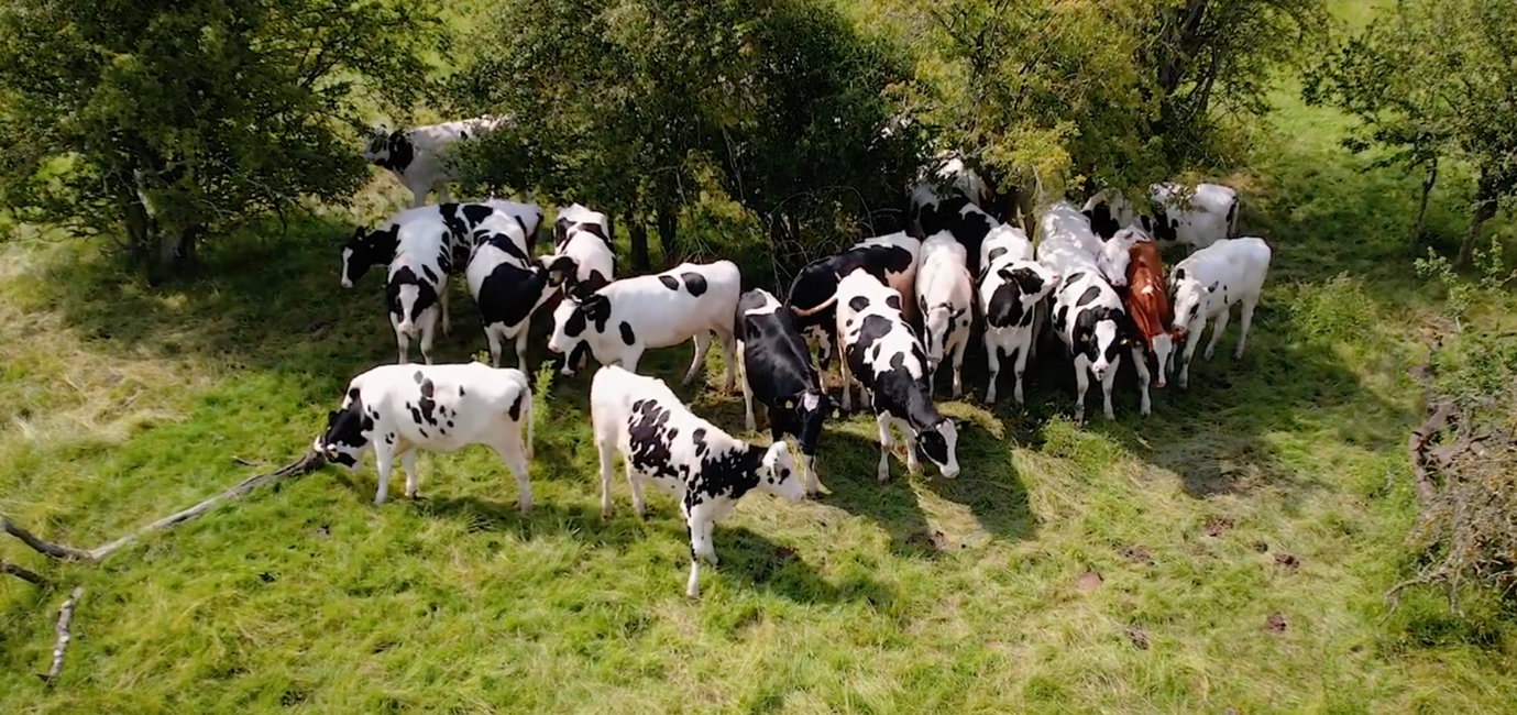 Megalac December Blog Image 2025