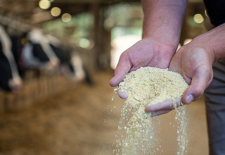Volac wilmar feed ingredients ration listing